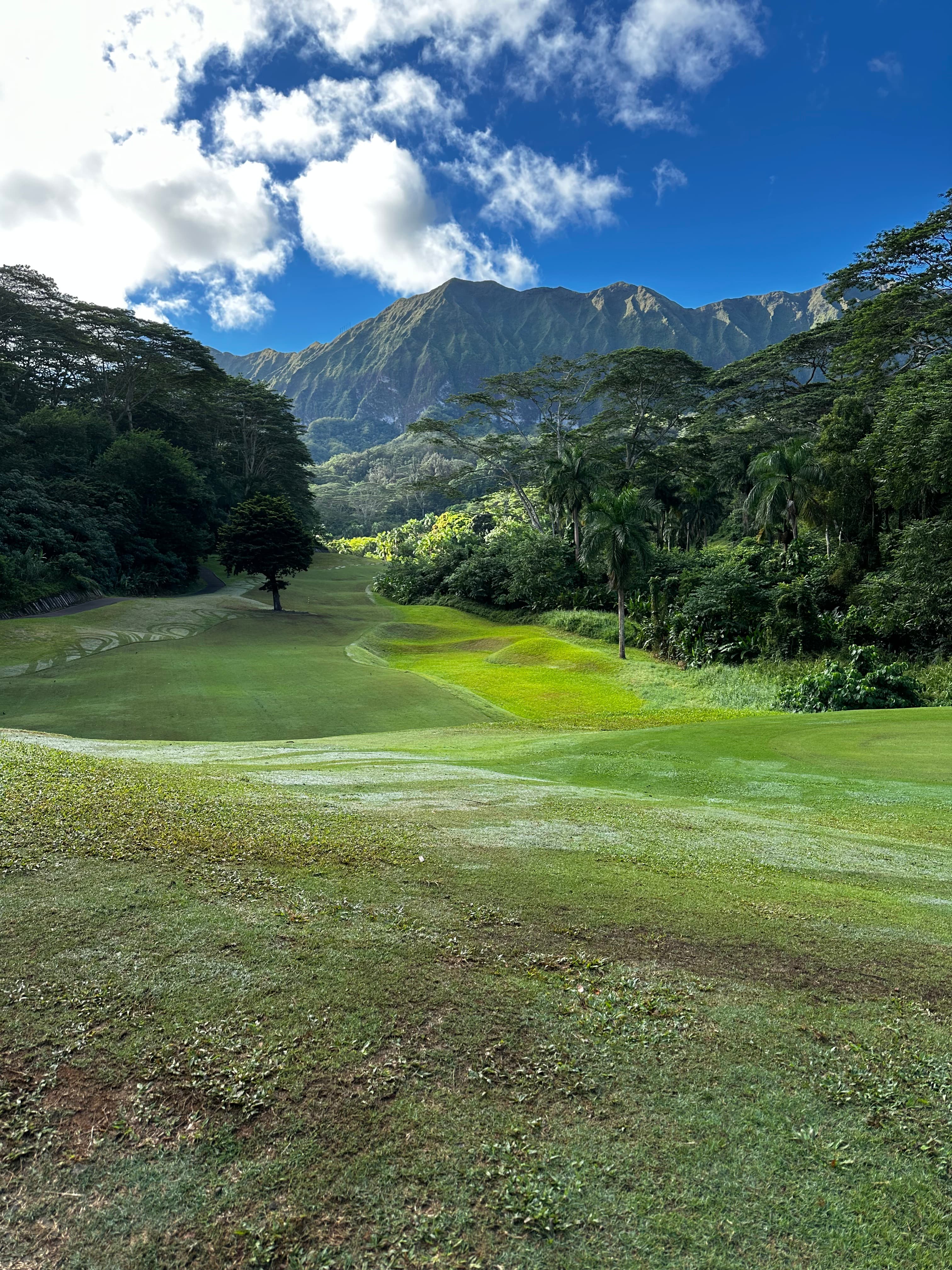 Coastal golf in Hawaii with Seth on the course